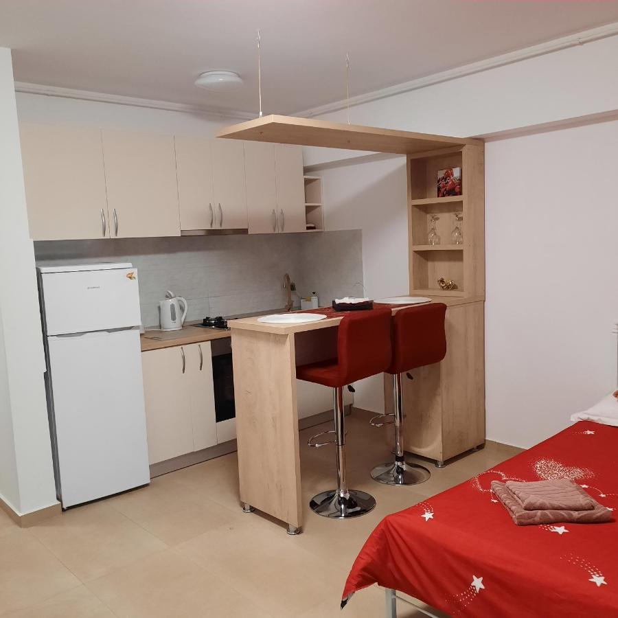 Studio Adela Διαμέρισμα Ιάσιο Εξωτερικό φωτογραφία